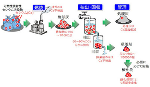 可燃性放射性Cs汚染物およびその焼却灰の処理スキーム<br />
情報元：国立研究開発法人産業技術総合研究所